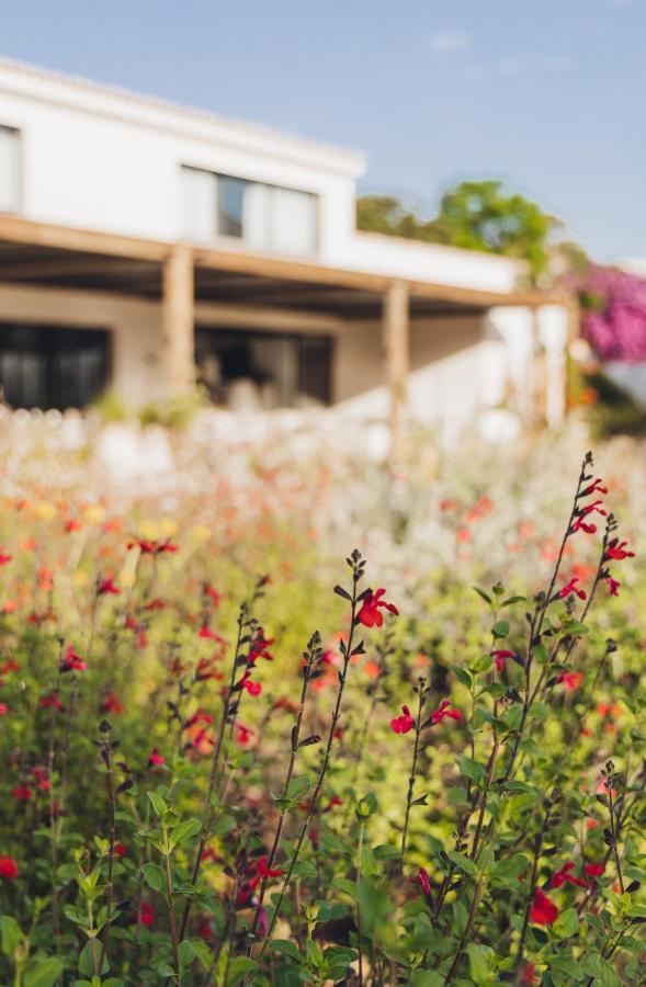 Casa Paradisu LʼÎle-Rousse エクステリア 写真