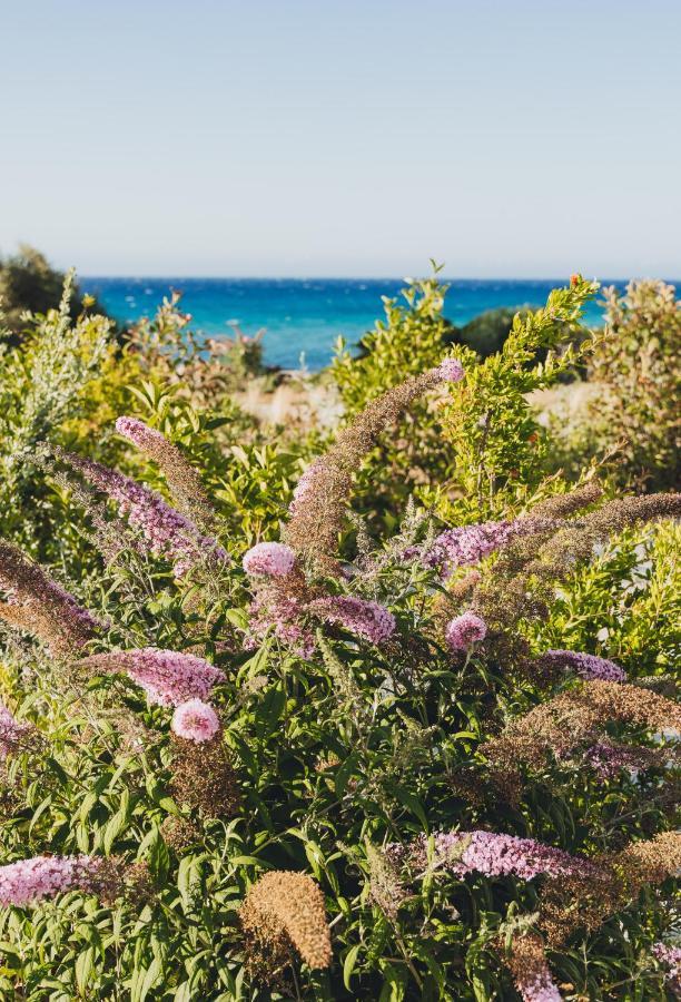 Casa Paradisu LʼÎle-Rousse エクステリア 写真